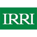 Viện nghiên cứu lúa IRRI