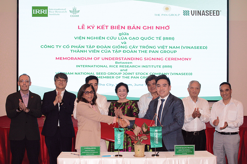 Viện nghiên cứu lúa Quốc tế IRRI và Tập đoàn Giống cây trồng Việt Nam (VINASEED) hợp tác phát triển và thương mại hoá các Công nghệ và Giống lúa năng suất cao, chất lượng tốt, thích ứng với biến đổi khí hậu